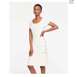 Ann Taylor White Side-Button Sheath Dress-Size 4